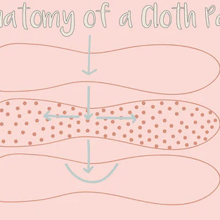 Anatomy Of A Cloth Pad